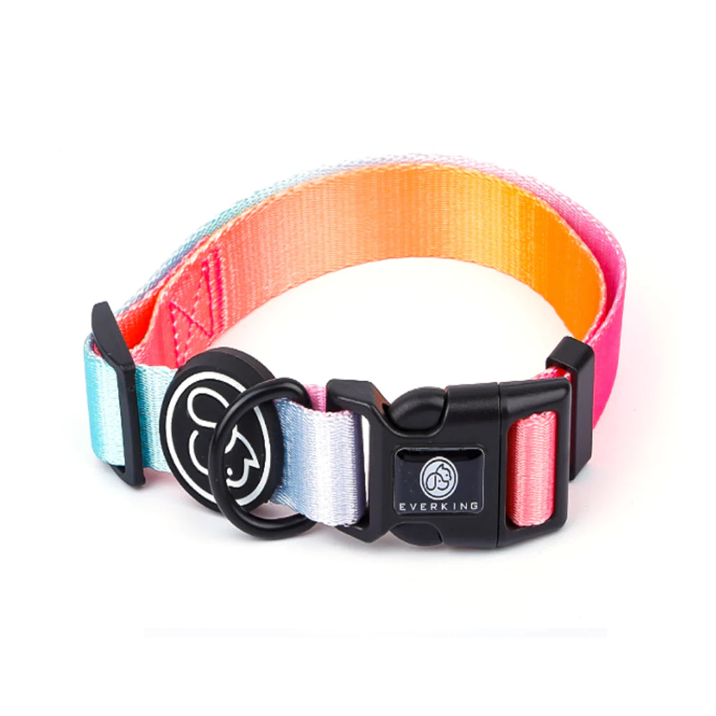 Collar Rosado Flúor