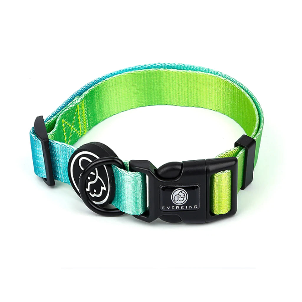 Collar Verde Flúor