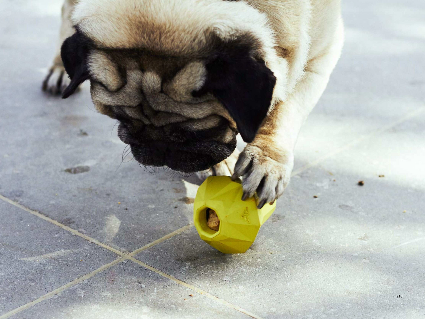 Super Pear