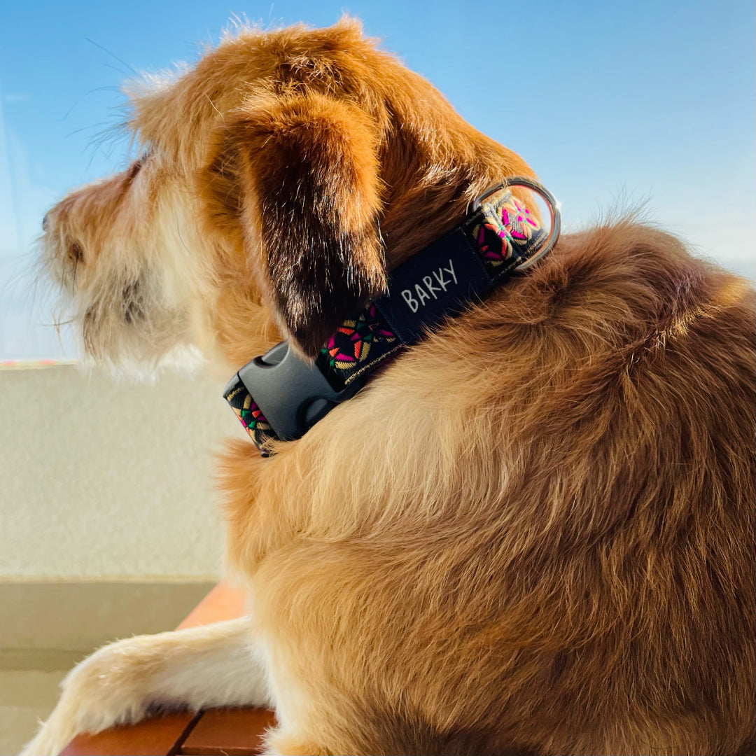 Collar Barky Negro