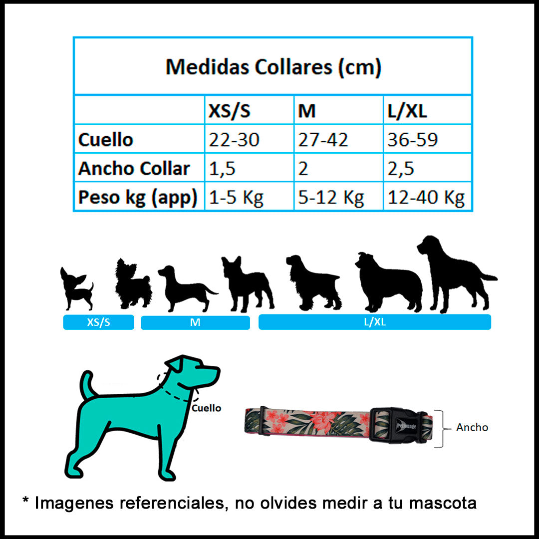 Collar