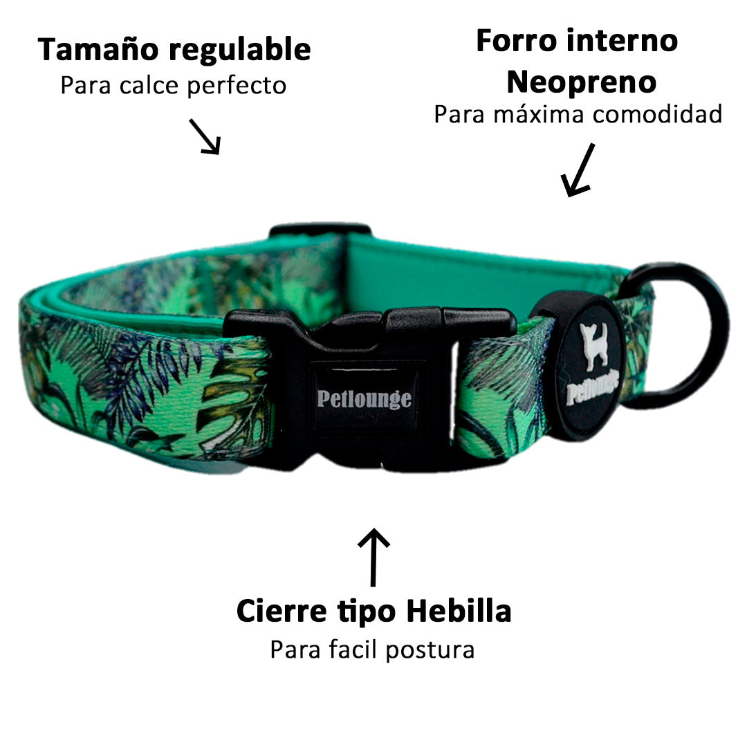 Collar