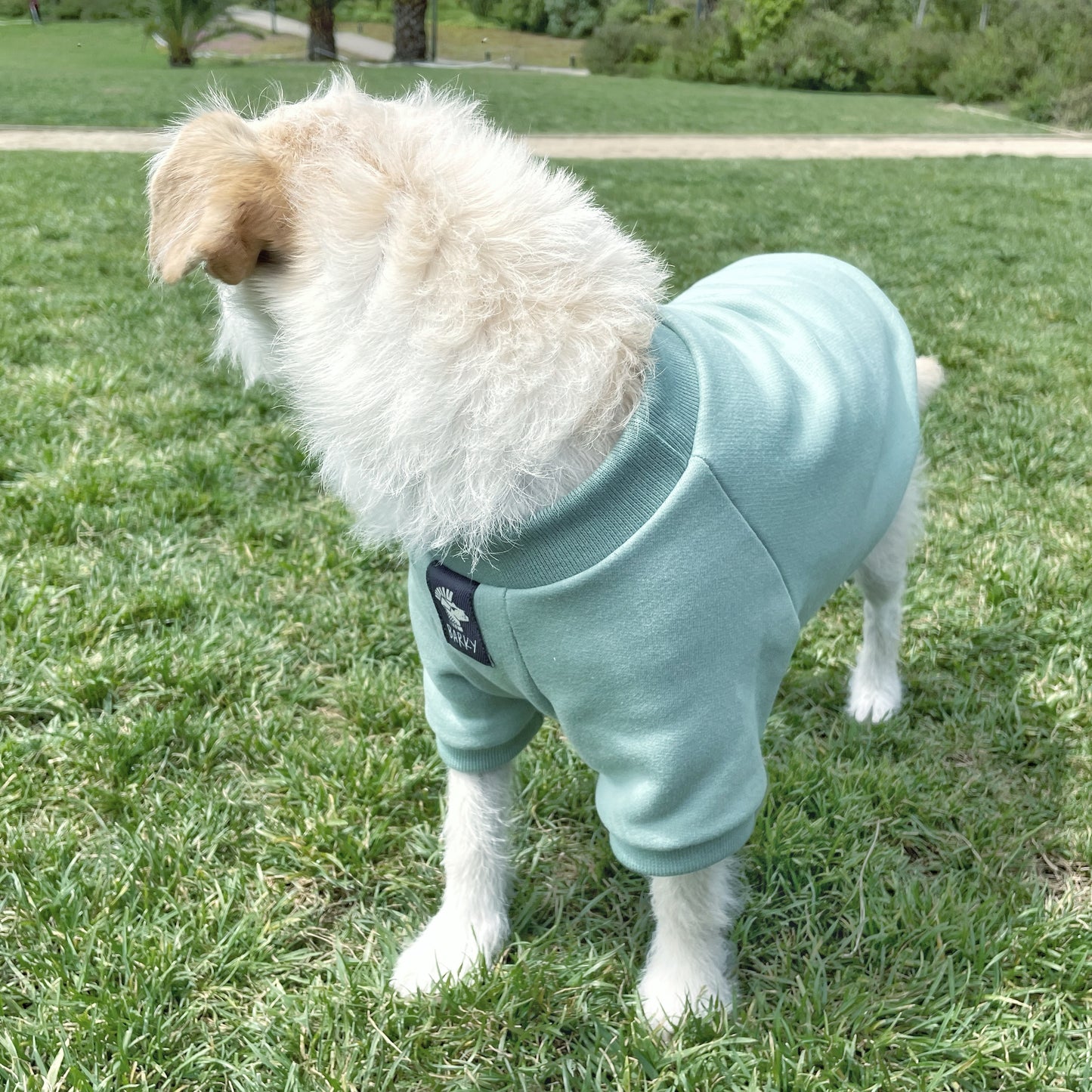 Sudadera para perro Menta