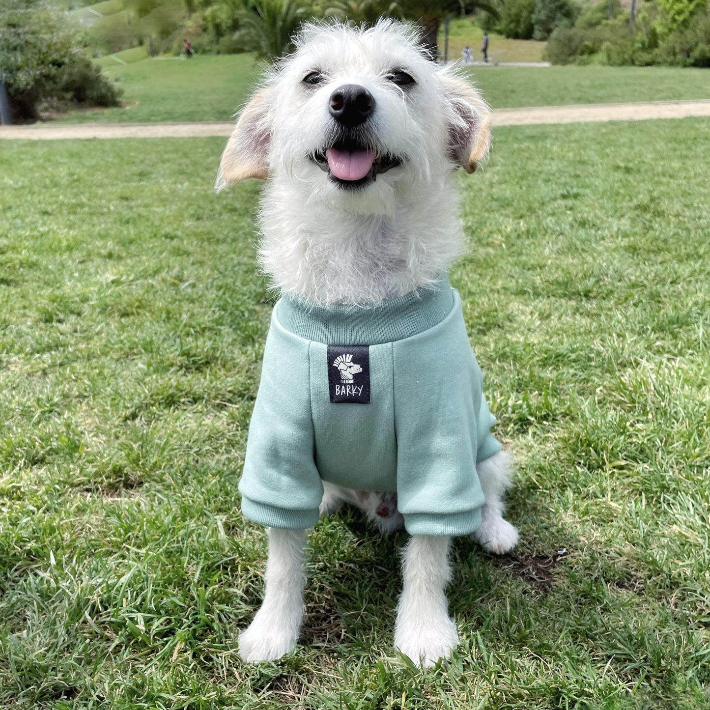 Sudadera para perro Menta